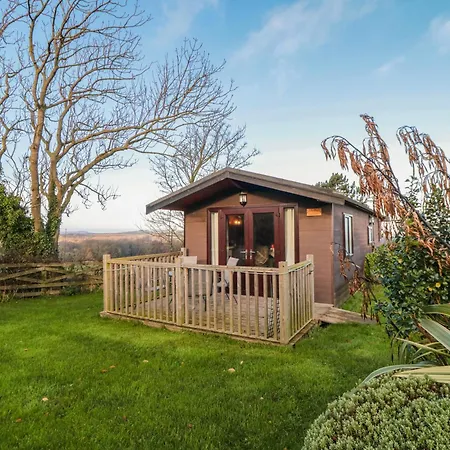 Holly * 솔트번바이더씨