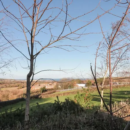 Holly Saltburn-by-the-Sea