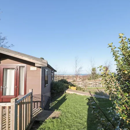 Holly * Saltburn-by-the-Sea