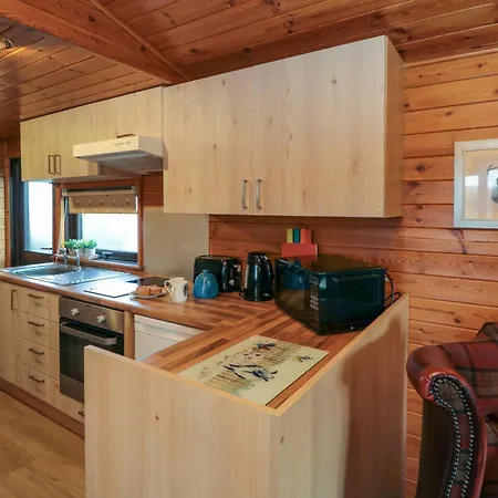 Holly Saltburn-by-the-Sea